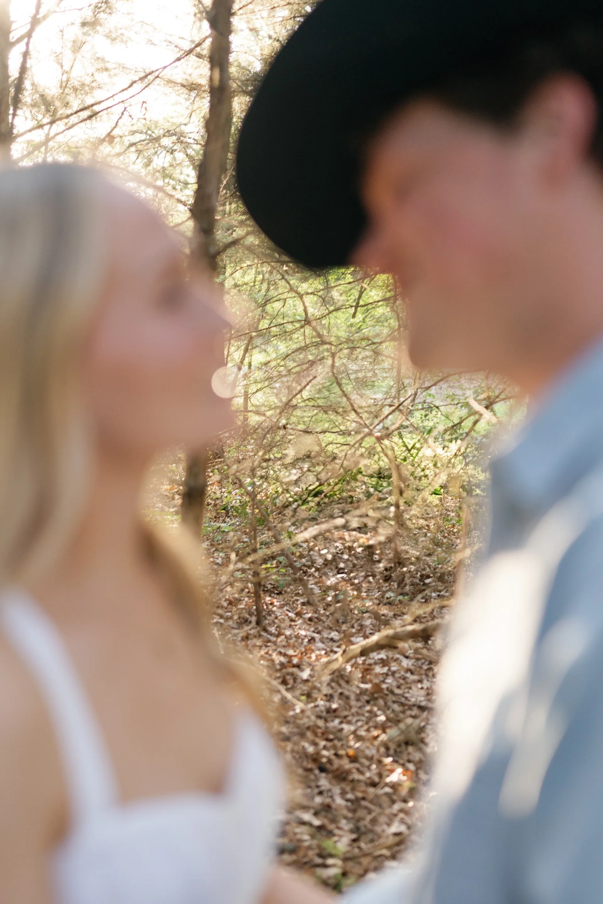 Soft-focus frame of a couple leaning close among backlit woodland branches