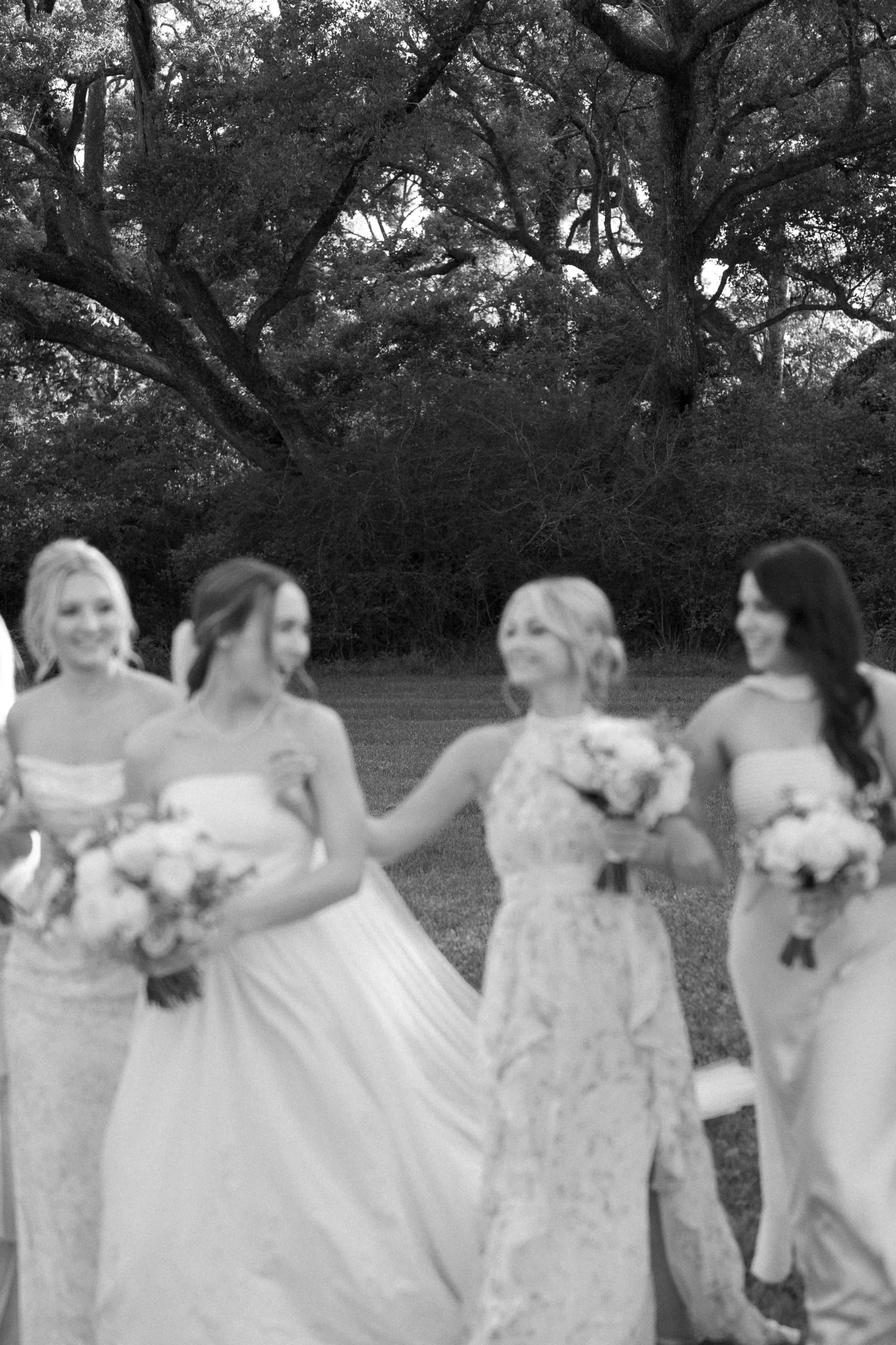 Black and white candid of the bride and bridesmaids laughing beneath sprawling oaks